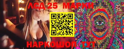 шишки Будённовск