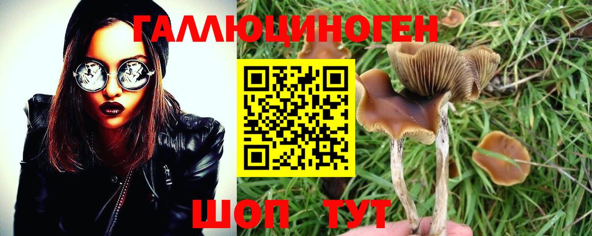 Псилоцибиновые грибы Magic Shrooms  Вход с VPN  наркота  Псилоцибиновые грибы MAGIC MUSHROOMS  Красноперекопск 