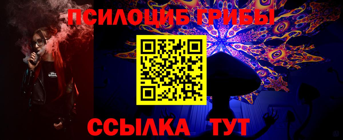 Псилоцибиновые грибы мицелий Красноперекопск